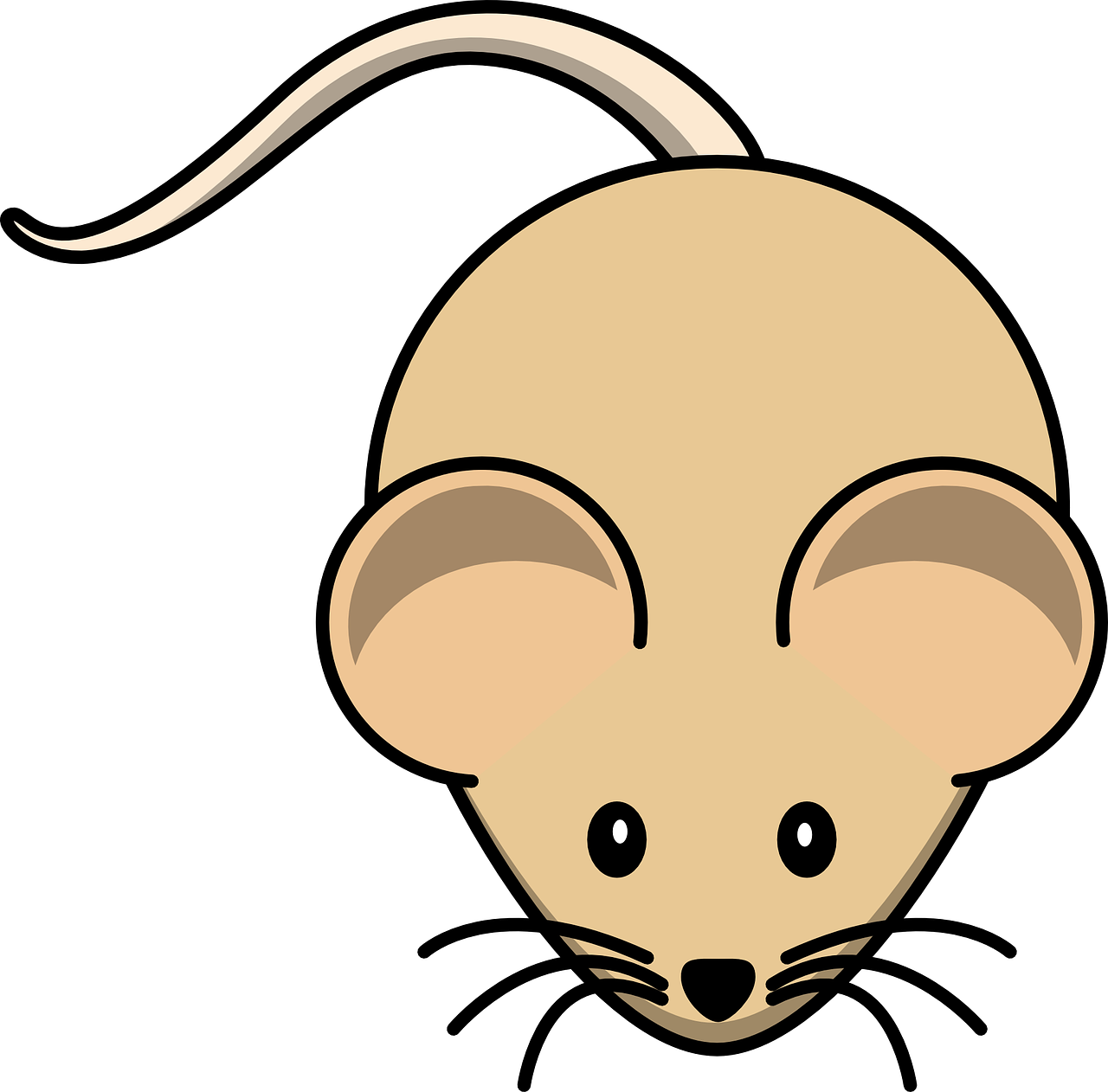 gerbil, mouse, rodent-303178.jpg